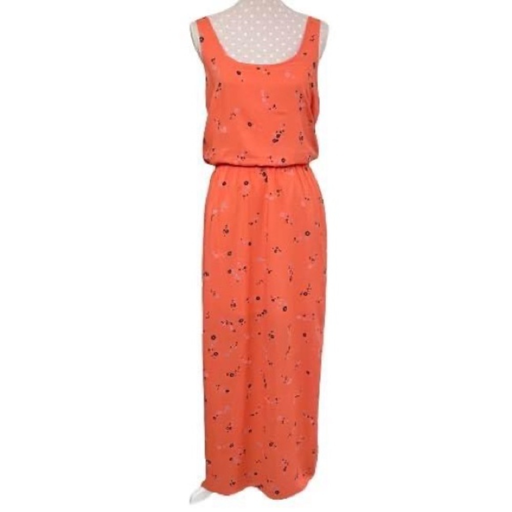 Splendid Dress